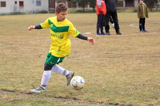 莱万多夫斯基关键时刻力挽狂澜，瑞士队带队逆转取胜-开云投注官网